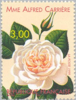 Colnect-146-677-Rose---Madame-Alfred-Carriere---1879.jpg