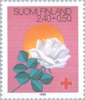 Colnect-159-976-Midsummer-Night-Rose---Sun.jpg