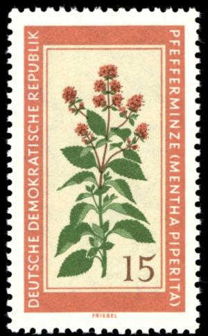 Colnect-1971-501-Mentha-piperita.jpg