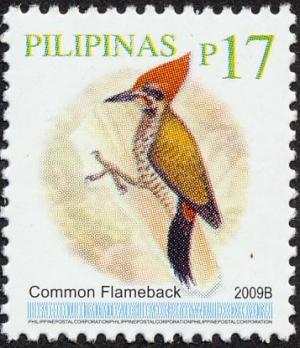 Colnect-2850-992-Common-Flameback-Dinopium-javanense.jpg