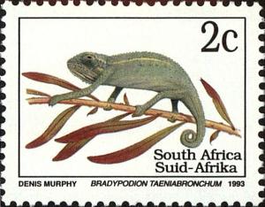 Colnect-4042-457-Smith--s-Dwarf-Chameleon-Bradypodion-taeniabronchum.jpg