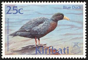 Colnect-772-029-Blue-Duck-Hymenolaimus-malacorhynchos-.jpg