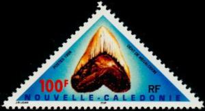 Colnect-857-155-Megalodon-Tooth.jpg