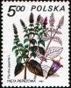 Colnect-1997-610-Mentha-piperita.jpg