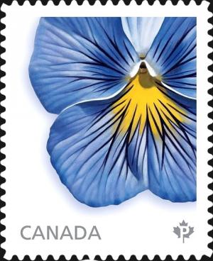 Colnect-2682-064-Delta-Premium-Pansy---from-booklet.jpg