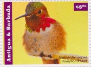 Colnect-2977-566-Allen-s-Hummingbird-Selasphorus-sasin.jpg