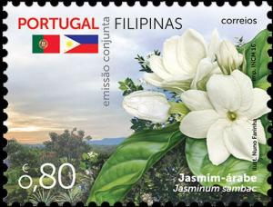 Colnect-3698-885-Jasmin-Jasminum-sambac.jpg