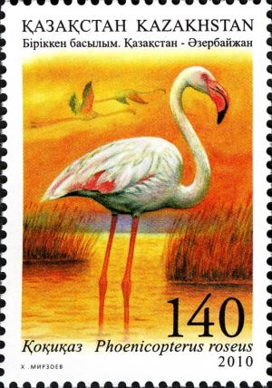 Colnect-5090-566-Greater-Flamingo-Phoenicopterus-roseus.jpg