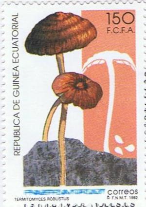 Colnect-759-080-Termitomyces-robustus.jpg