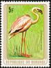 Colnect-3097-626-Lesser-Flamingo-Phoeniconaias-minor.jpg