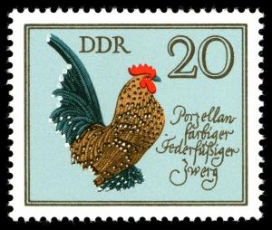 Colnect-1980-397-Porzellanfarbiger-federf-uuml--szlig-iger-Zwerg-Gallus-gallus-domestic.jpg