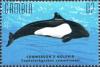 Colnect-4698-195-Commerson-s-dolphin.jpg