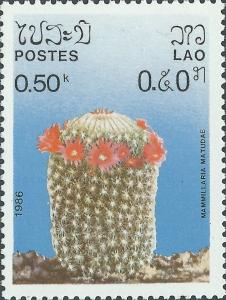 Colnect-2938-735-Mammillaria-matudae.jpg