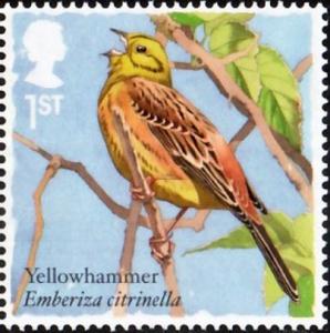 Colnect-4271-526-Yellowhammer-Emberiza-citrinella.jpg