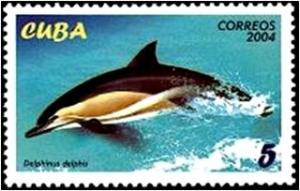 Colnect-2256-016-Short-beaked-Common-Dolphin-Delphinus-delphis.jpg