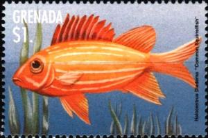 Colnect-4581-414-Common-squirrelfish.jpg