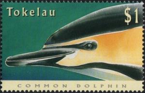 Colnect-4596-395-Short-beaked-Common-Dolphin-Delphinus-delphis.jpg