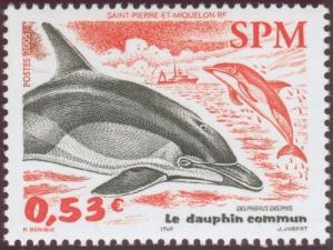 Colnect-878-799-Short-beaked-Common-Dolphin-Delphinus-delphis.jpg