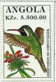 Colnect-2221-130-White-eared-Hummingbird-Hylocharis-leucotis.jpg