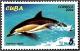 Colnect-2256-016-Short-beaked-Common-Dolphin-Delphinus-delphis.jpg