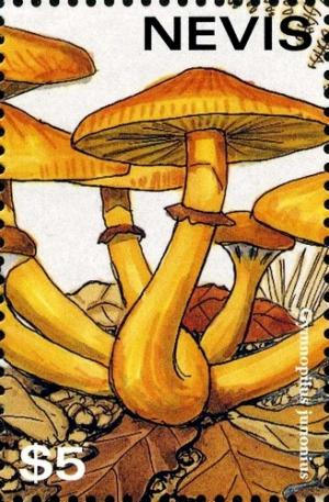 Colnect-2051-522-Gymnopilus-junonius.jpg