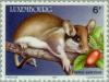 Colnect-134-666-Garden-Dormouse-Eliomys-quercinus-.jpg