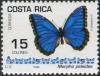 Colnect-2197-782-Common-Morpho-Morpho-peleides.jpg