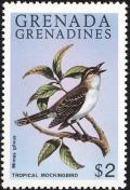 Colnect-1838-428-Tropical-Mockingbird-Mimus-gilvus.jpg