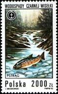 Colnect-3063-410-River-Trout-Salmo-trutta-fario-Black-Waterfall.jpg