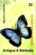 Colnect-3430-553-Common-Morpho-Morpho-peleides-.jpg