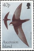 Colnect-4414-482-Common-Swift-Apus-apus.jpg