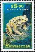 Colnect-5873-034-Mountain-chicken.jpg