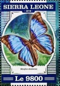 Colnect-5038-223-Morpho-deidamia.jpg