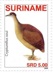 Colnect-3837-125-Little-Tinamou%C2%A0%C2%A0%C2%A0Crypturellus-soui.jpg