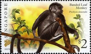 Colnect-1609-947-Banded-Leaf-Monkey-Presbytis-femoralis-.jpg