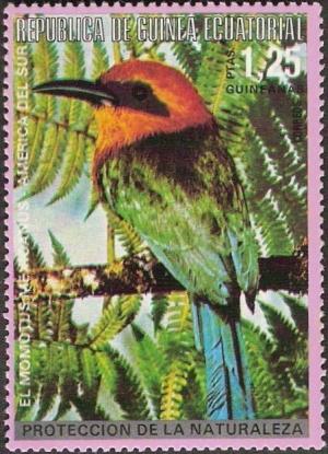 Colnect-2535-334-Mexican-Motmot-Momotus-mexicanus.jpg