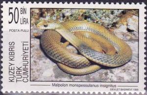 Colnect-4014-908-Malpolon-Monspessulanus-Insignitus.jpg