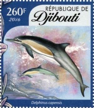 Colnect-4549-155-Long-beaked-common-dolphin-Delphinus-capensis.jpg