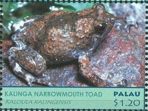 Colnect-4992-725-Kalinga-Narrowmouth-Toad-Kaloula-kalingensis.jpg