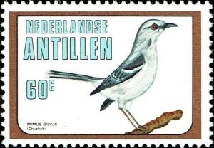 Colnect-5314-549-Tropical-Mockingbird%C2%A0Mimus-gilvus.jpg