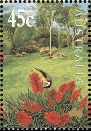 Colnect-604-158-Bottlebrush---Callistemon---Eastern-Spinebill-Acanthorhynch.jpg