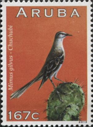 Colnect-6279-122-Tropical-Mockingbird-Mimus-gilvus.jpg