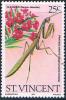 Colnect-2236-485-Bordered-Mantis-Stagmomantis-limbata-Oleander-Nerium-ole.jpg