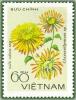 Colnect-1627-157-Lemon-chrysanthemum.jpg