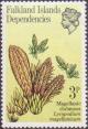 Colnect-1954-511-Magellanic-Clubmoss---Lycopodium-magellanicum.jpg