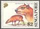 Colnect-2025-336-Greater-Mouse-Deer-Tragulus-napu.jpg