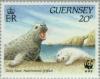 Colnect-126-115-Grey-Seal--amp--Pup-Halichoerus-grypus.jpg