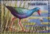 Colnect-1409-330-Purple-Swamphen-Porphyrio-porphyrio.jpg