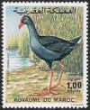 Colnect-1894-999-Purple-Swamphen-Porphyrio-porphyrio.jpg