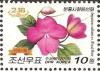 Colnect-3728-199-Impatiens-sultanii.jpg